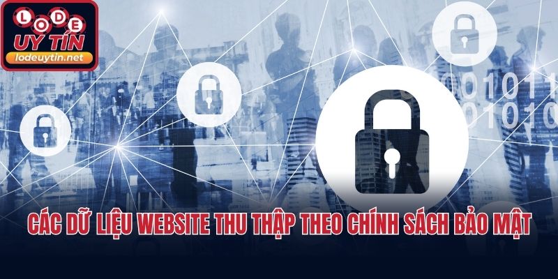 Các dữ liệu website thu thập theo chính sách bảo mật