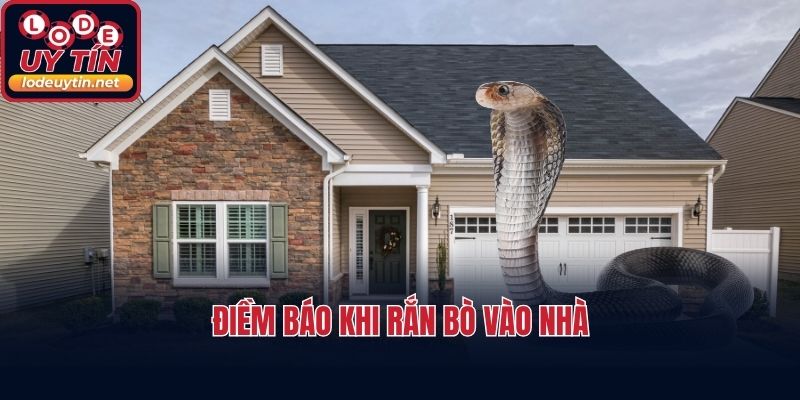 Điềm báo khi rắn bò vào nhà