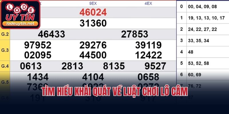 Tìm hiểu khái quát về luật chơi lô câm