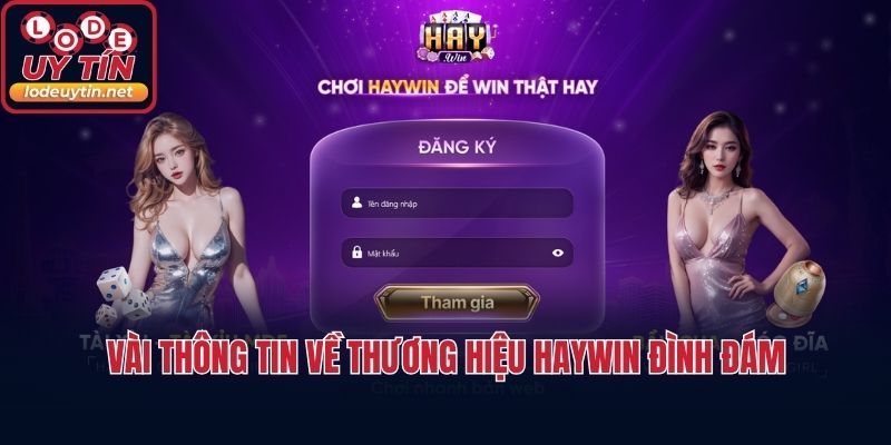 Vài thông tin về thương hiệu HAYWIN đình đám